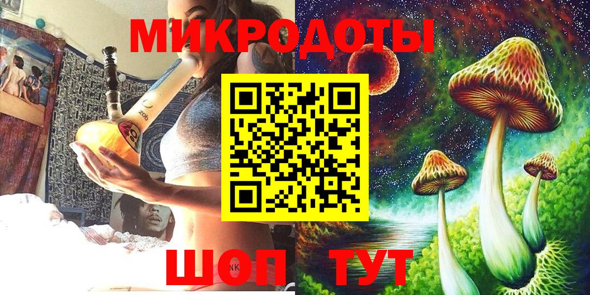 Галлюциногенные грибы Psilocybe Пыть-Ях